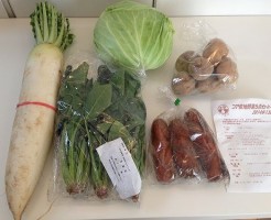 宅配野菜の生活クラブの野菜セット