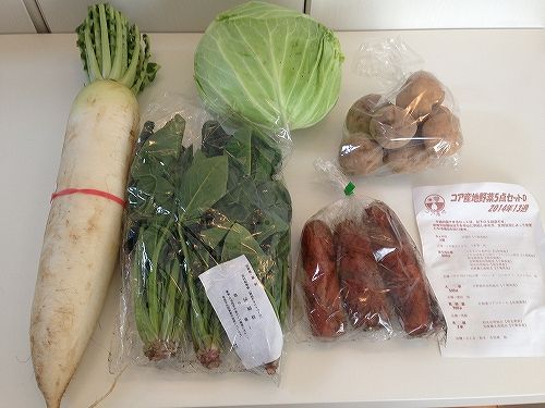 宅配野菜の生活クラブの野菜セット