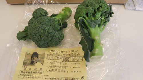 ブロッコリー