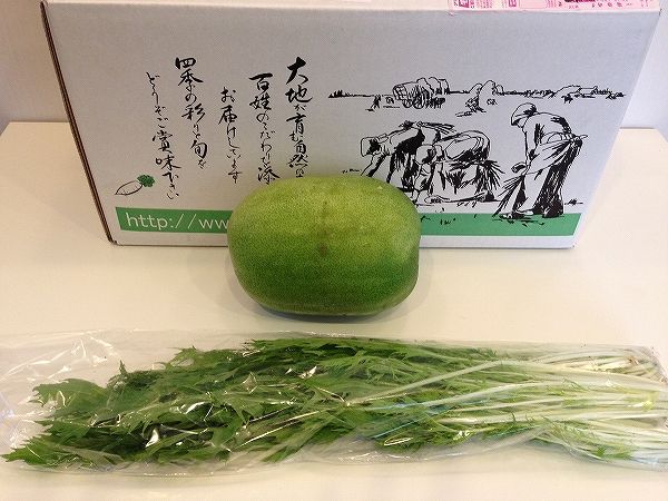 有機栽培の冬瓜と水菜～無農薬野菜のミレー