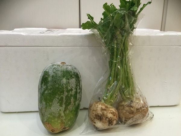 冬瓜、かぶ（有機栽培）