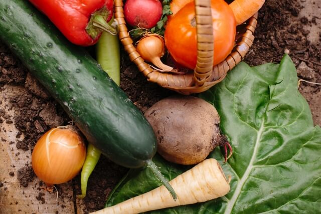 有機野菜、無農薬野菜、減農薬野菜違い５