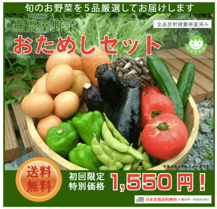 野菜宅配のお試しセット安いランキング・無農薬野菜はにーびー1
