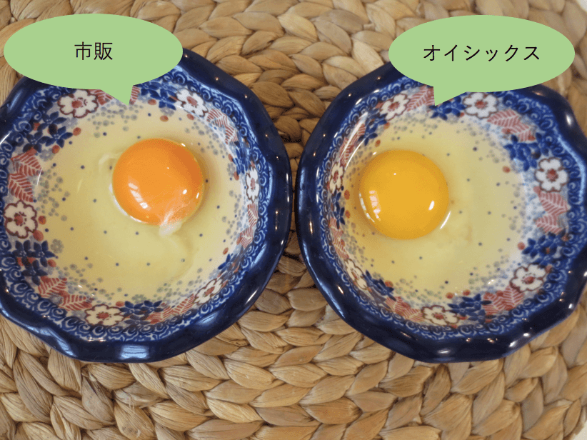 キットオイシックス献立コースの口コミと評判・卵1