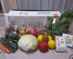 九州の野菜宅配ベジリーの口コミ・評判・メリット・デメリット５３