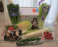 九州野菜王国の口コミ・比較ランキング・お試しセット体験談３０