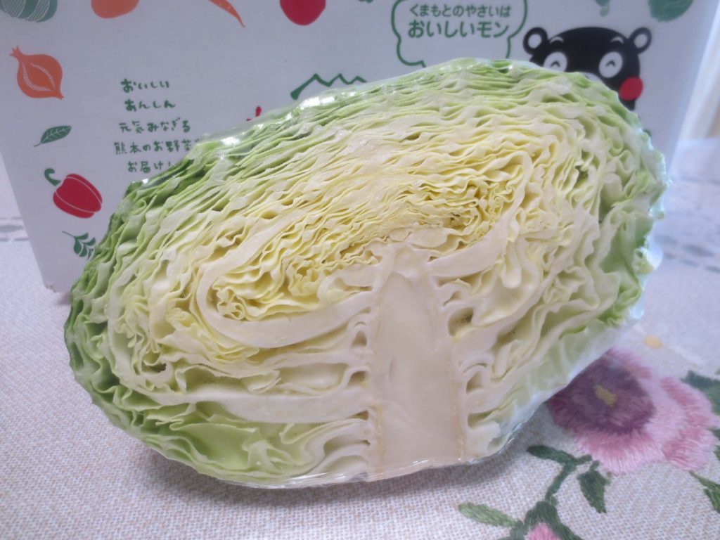 九州野菜王国の口コミ・比較ランキング・お試しセット体験談３３