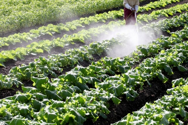 農薬の害・危険性と有機野菜の強み5