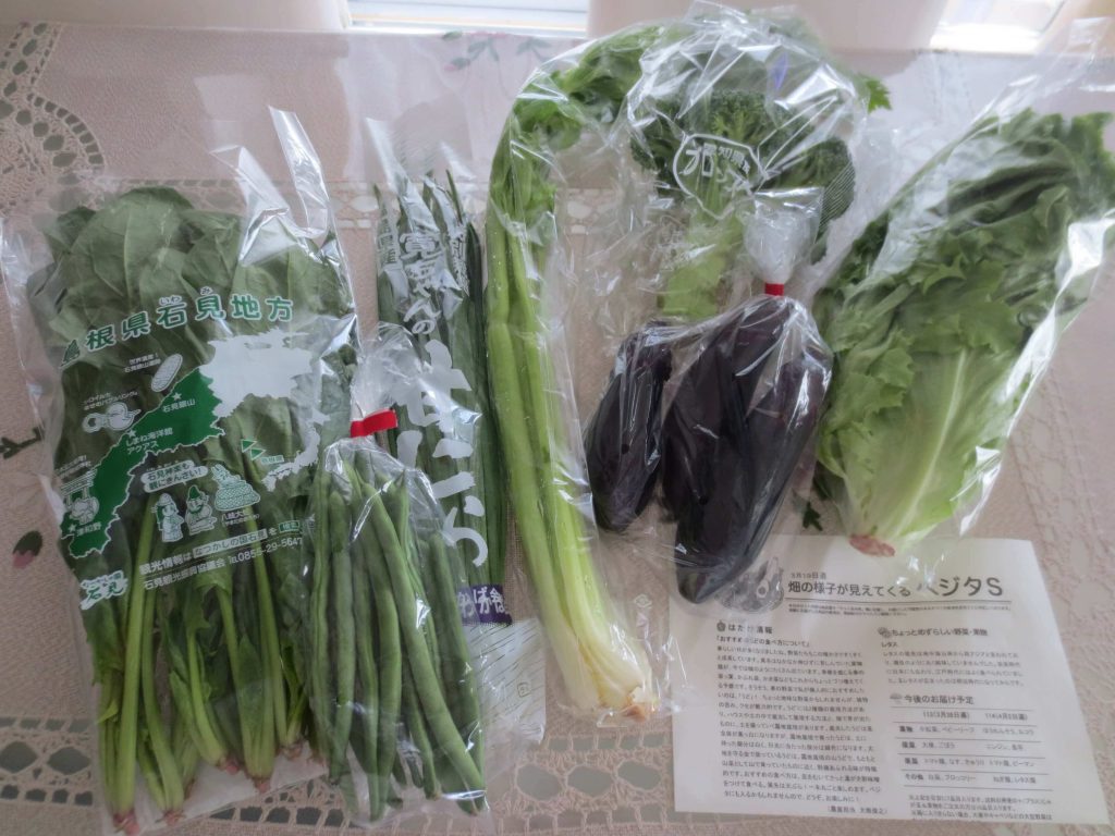 野菜宅配比較ランキング・大地を守る会の定期便「ベジタ」