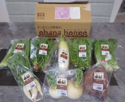 大分県の野菜宅配「ohana本舗」の有機野菜セットの口コミ・評判４２
