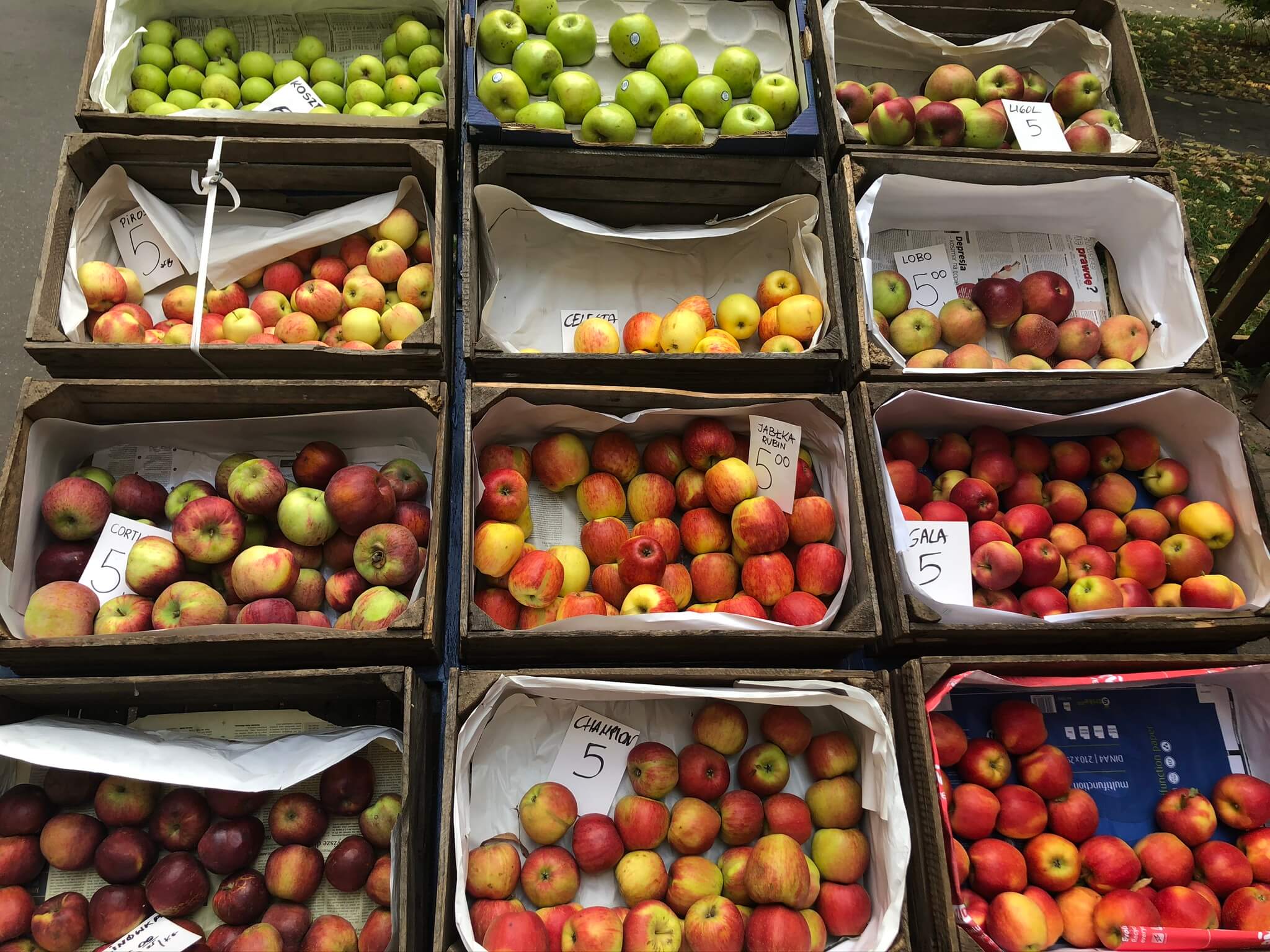 りんごの栄養価・効果・おすすめレシピ２