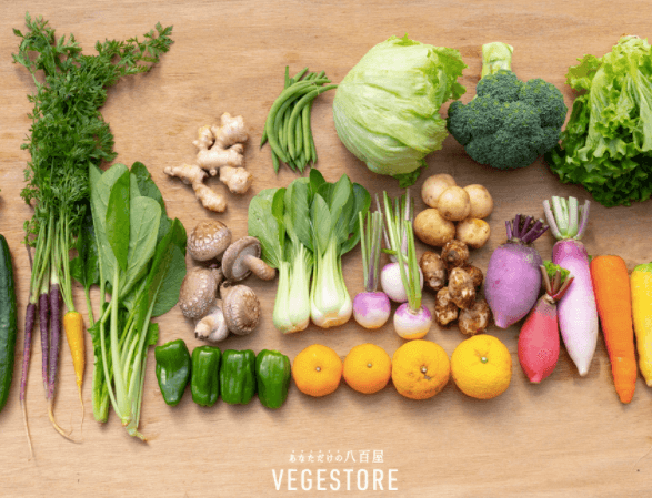 無農薬・無化学肥料の野菜宅配「VEGE STORE」をお試し！口コミと評判１