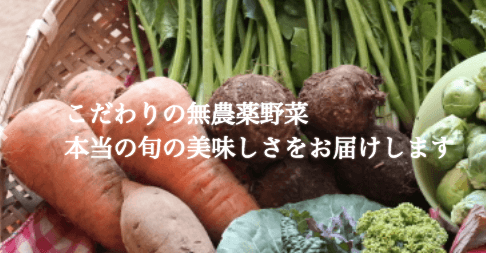 千葉県成田市の無農薬野菜宅配「あるまま農園」のお試しセットを取り寄せた３