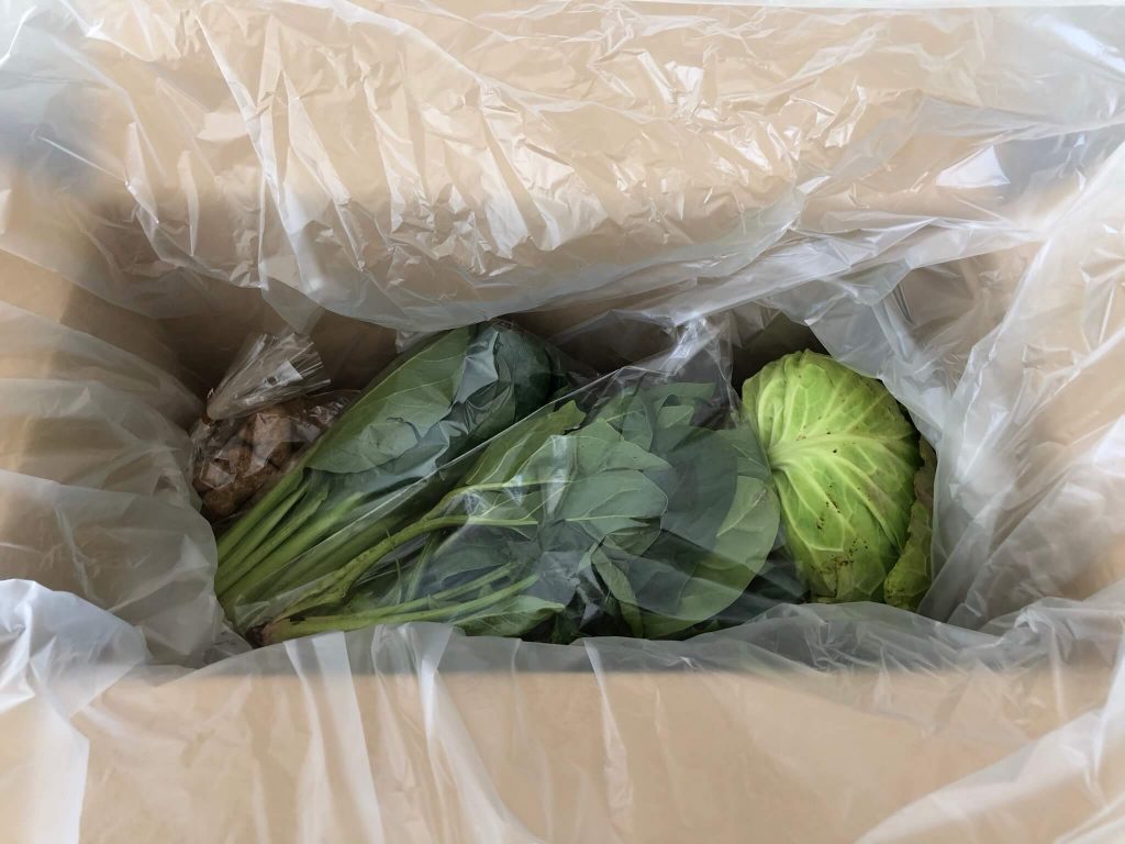 千葉県成田市の無農薬野菜宅配「あるまま農園」のお試しセットを取り寄せた１７