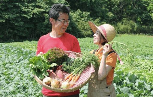 千葉県成田市の無農薬野菜宅配「あるまま農園」のお試しセットを取り寄せた５