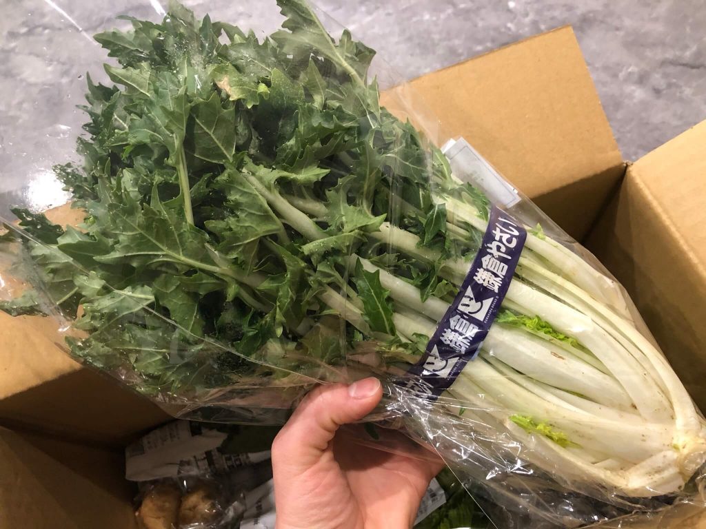 鎌倉直産野菜宅配「かまベジ」のお試しセットを注文１９