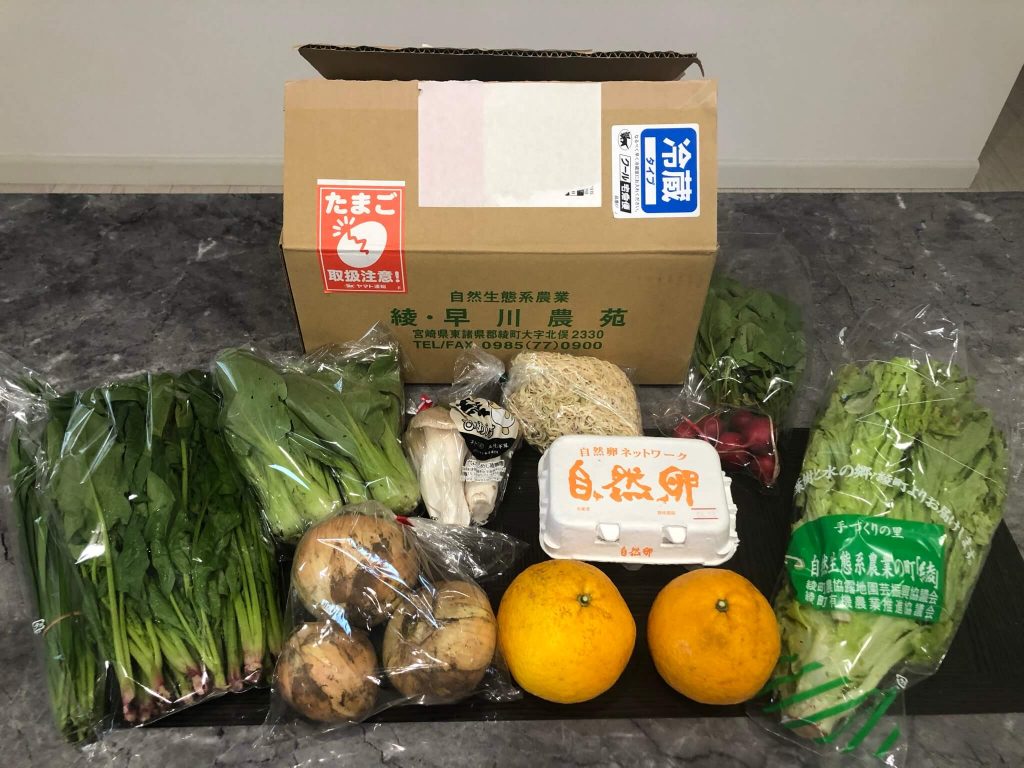 宮崎県の無農薬・無化学肥料野菜宅配「綾・早川農苑」の定期セット体験