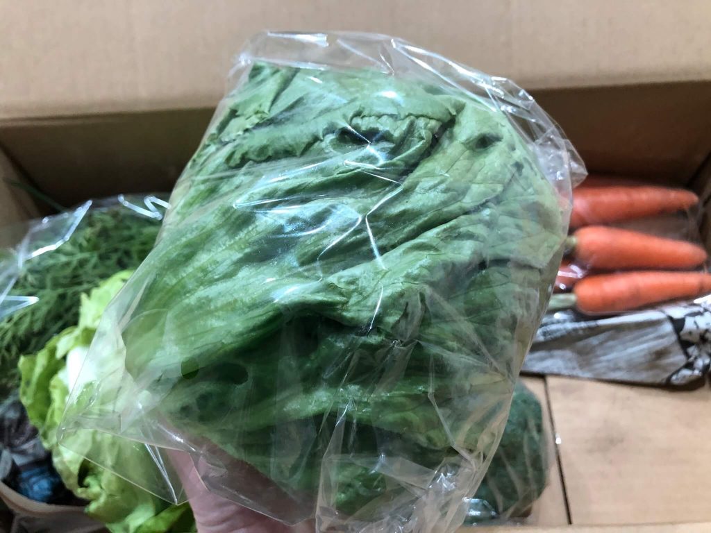茨城県産の無農薬・有機野菜の宅配「コトコトファーム」の野菜セットの口コミ１８
