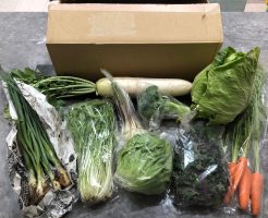 茨城県産の無農薬・有機野菜の宅配「コトコトファーム」の野菜セットの口コミ４４