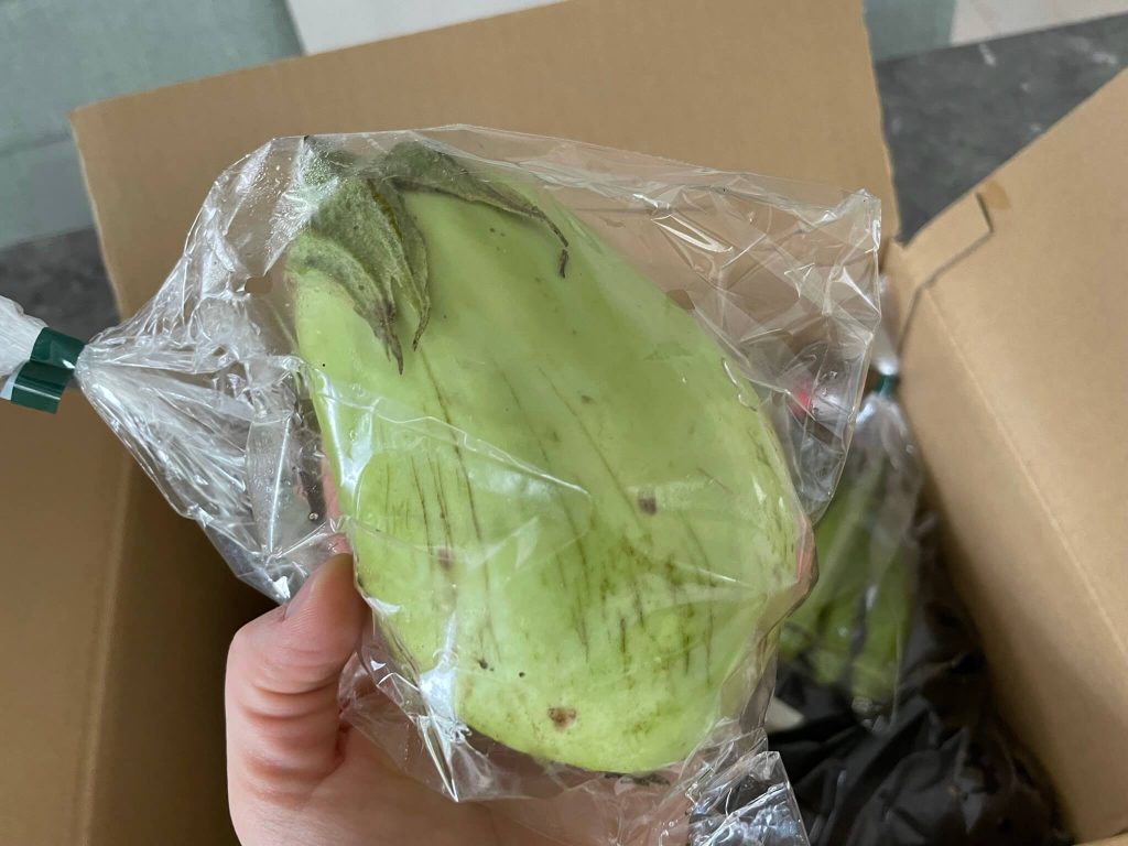 宮崎県の有機野菜宅配「自然食品店.com」のオーガニック野菜セットの口コミ１７