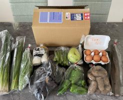 宮崎県の有機野菜宅配「自然食品店.com」のオーガニック野菜セットの口コミ２７