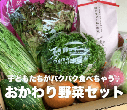 ポケットマルシェ（ポケマル）でふるさと納税！無農薬野菜セットをお試し1