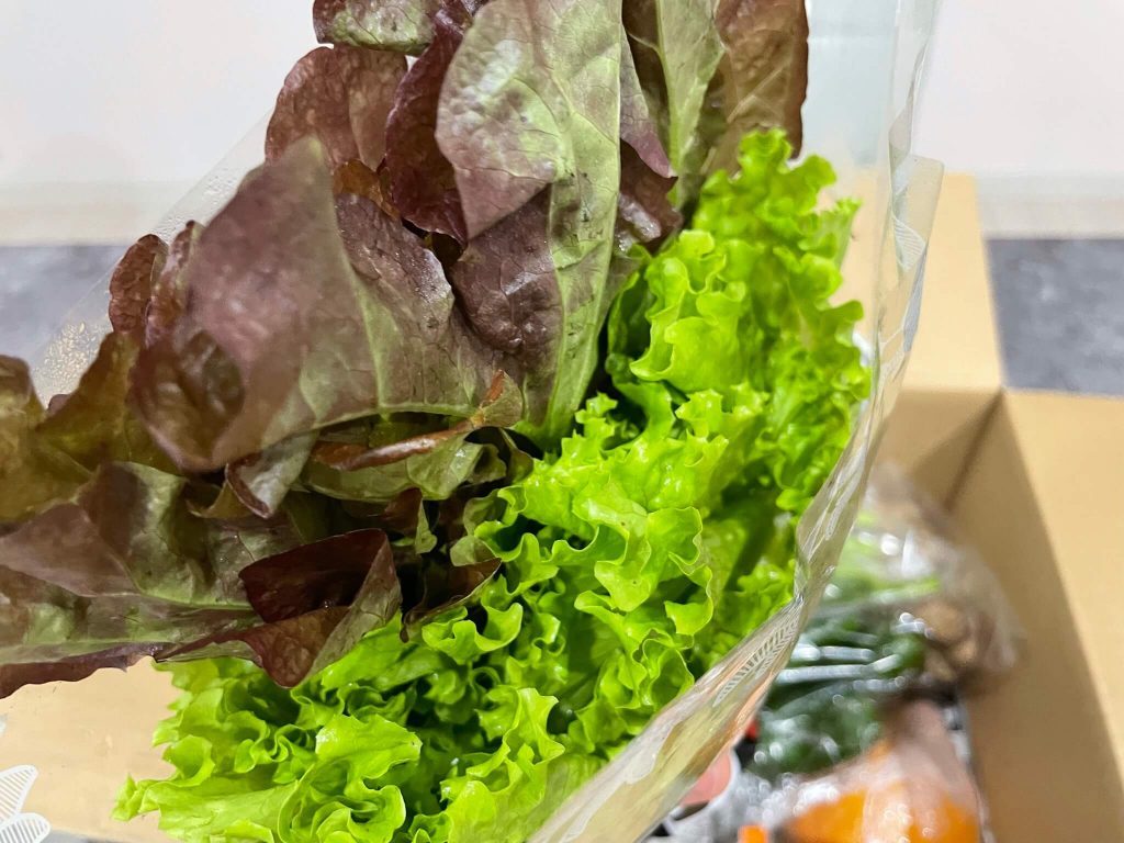 ふるさと納税：熊本・阿蘇市の無農薬野菜宅配「然やさい」の口コミ18