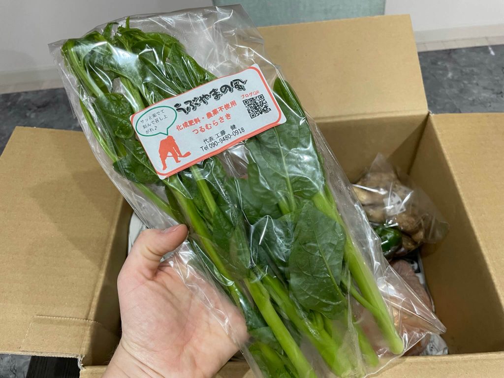 ふるさと納税：熊本・阿蘇市の無農薬野菜宅配「然やさい」の口コミ19