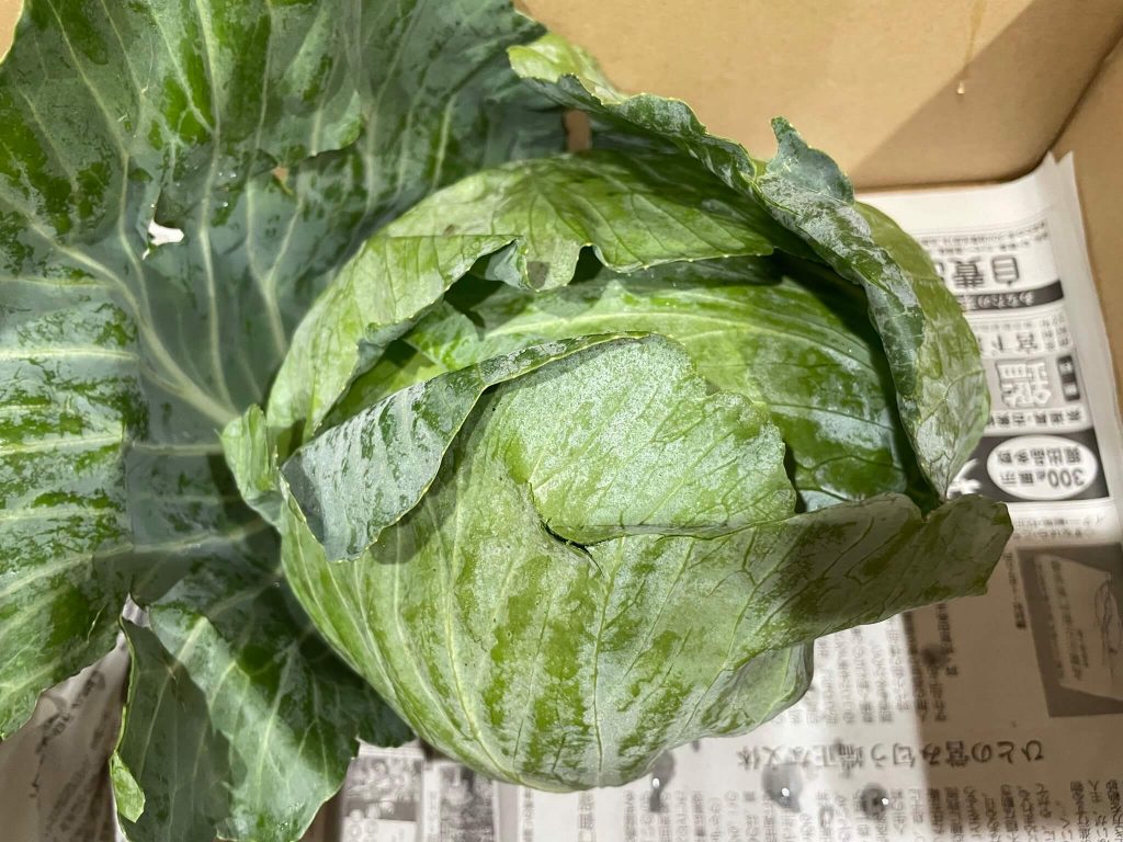 ふるさと納税：熊本・阿蘇市の無農薬野菜宅配「然やさい」の口コミ24