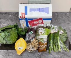 ふるさと納税：熊本・阿蘇市の無農薬野菜宅配「然やさい」の口コミ２５