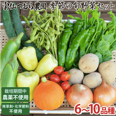長崎の有機野菜「雲仙つむら農園」の体験談７