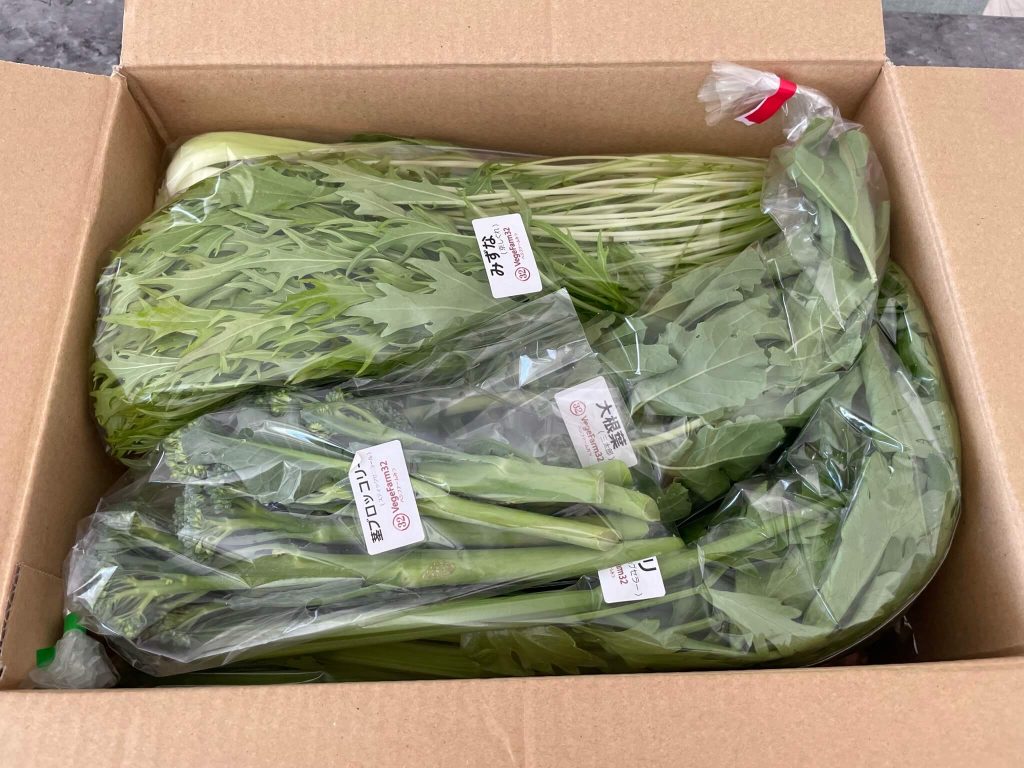 ふるさと納税で岡山県の有機野菜農家さん「VegeFarm32（ベジファームみつ）を注文・口コミ20