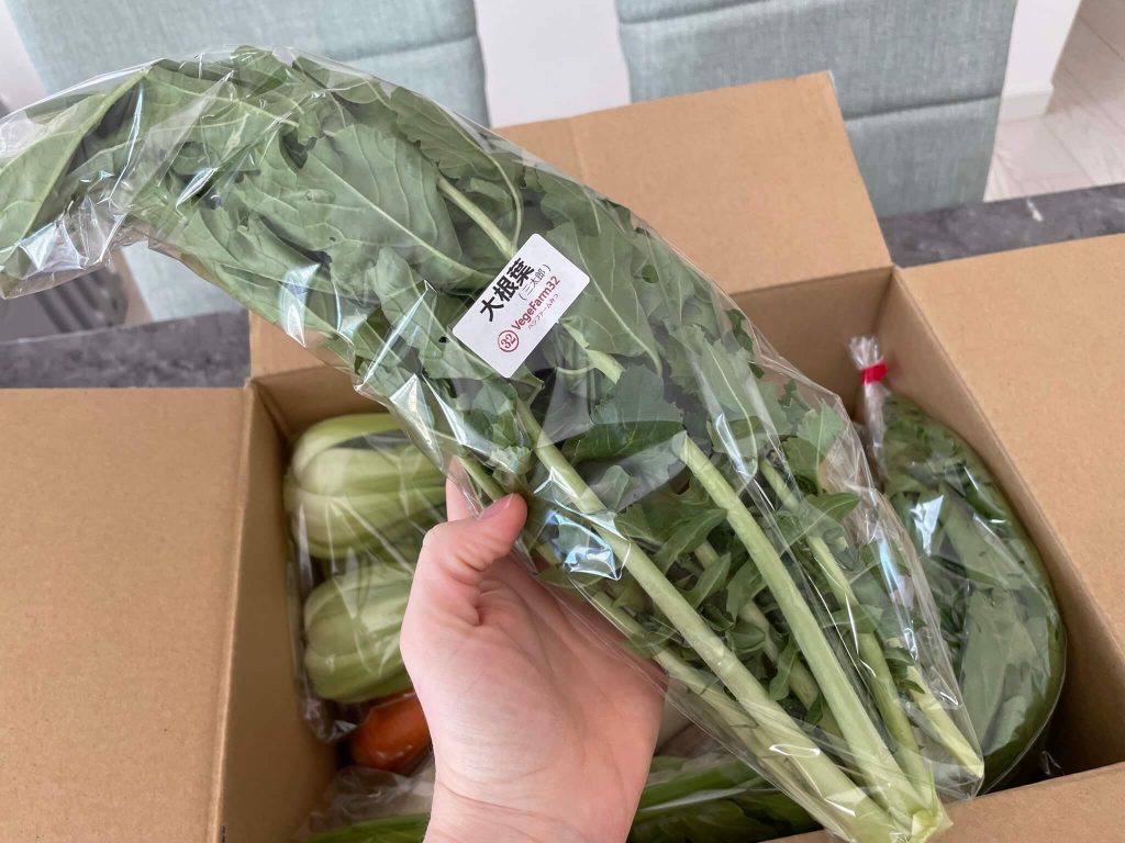 ふるさと納税で岡山県の有機野菜農家さん「VegeFarm32（ベジファームみつ）を注文・口コミ23