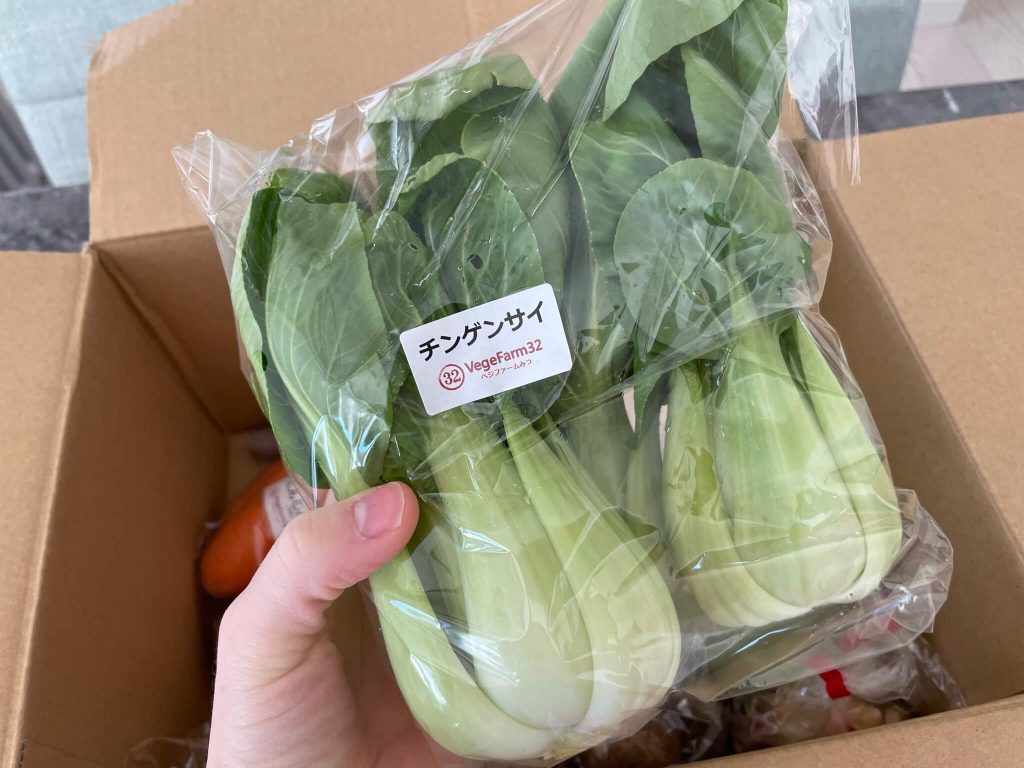 ふるさと納税で岡山県の有機野菜農家さん「VegeFarm32（ベジファームみつ）を注文・口コミ２５