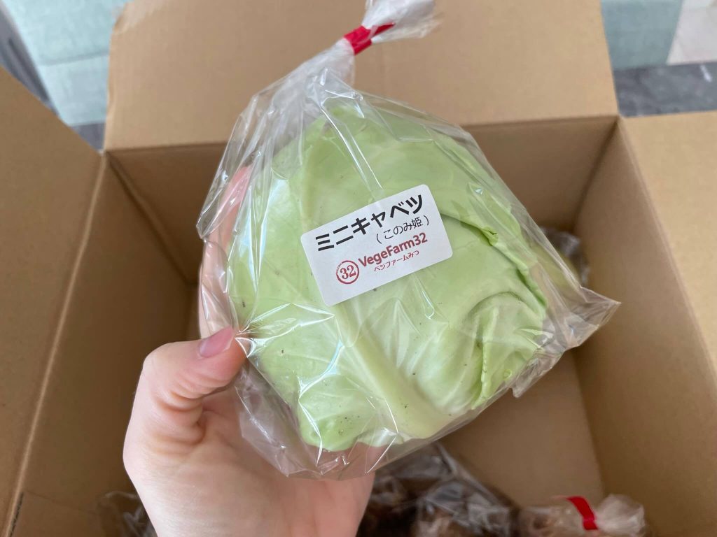 ふるさと納税で岡山県の有機野菜農家さん「VegeFarm32（ベジファームみつ）を注文・口コミ8