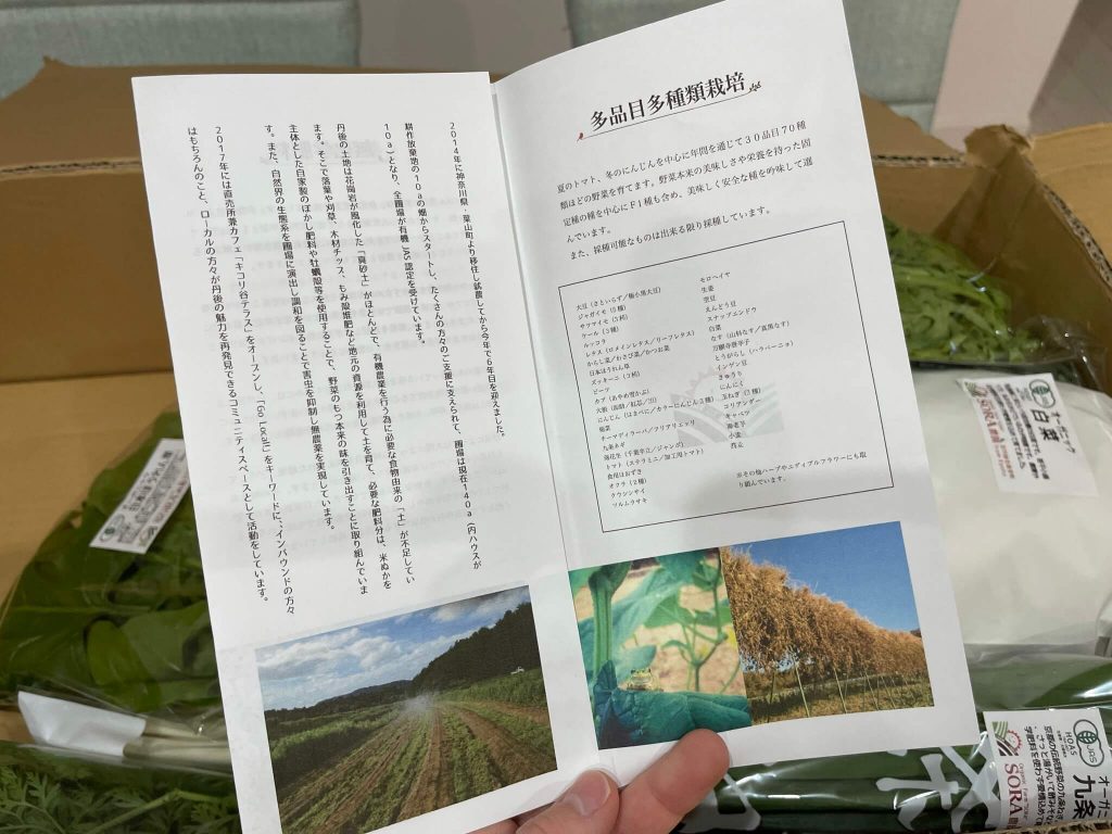京都府京丹後市、SORA農園の有機野菜セットの感想９