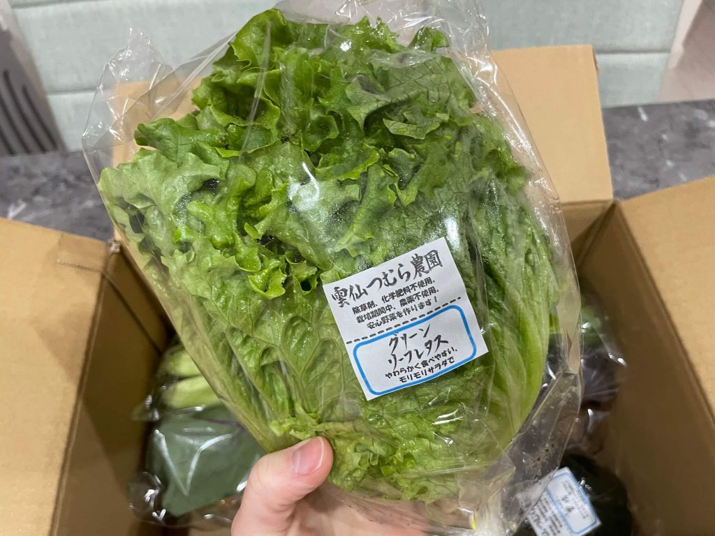 長崎の有機野菜「雲仙つむら農園」の体験談１３