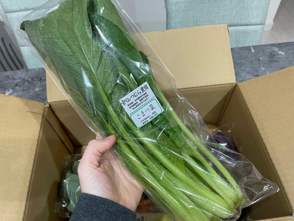 長崎の有機野菜「雲仙つむら農園」の体験談１５