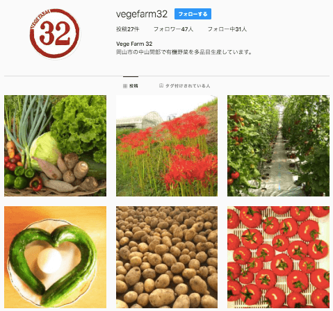 ふるさと納税で岡山県の有機野菜農家さん「VegeFarm32（ベジファームみつ）を注文・口コミ2