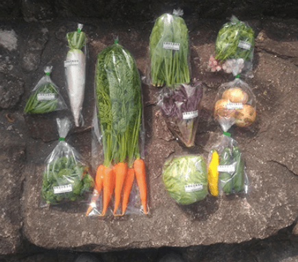 ふるさと納税で岡山県の有機野菜農家さん「VegeFarm32（ベジファームみつ）を注文・口コミ５