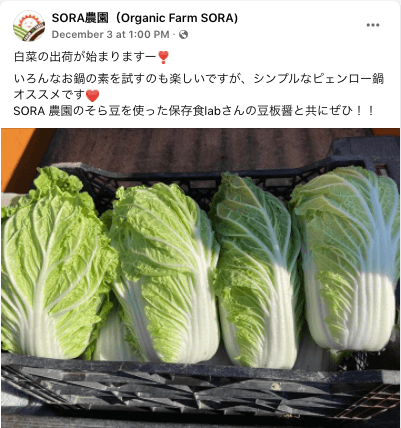 京都府京丹後市、SORA農園の有機野菜セットの感想６