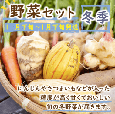 京都府京丹後市、SORA農園の有機野菜セット1