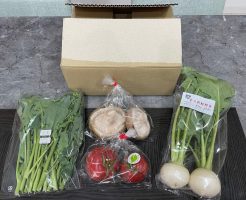 「丹後王国こだわり市場」で京都産の野菜セットをお試し２３