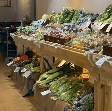 京都の直送野菜宅配「八百屋みどりなす」の利用口コミ・評判６
