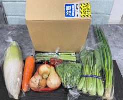 京都の直送野菜宅配「八百屋みどりなす」の利用口コミ・評判２３